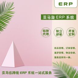 亞馬遜erp出售及一站式服務(wù)從零到基礎(chǔ)一對(duì)一指導(dǎo)